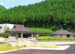 高さが低い建物がいくつかあり、後ろには大きな木々が生い茂っている写真
