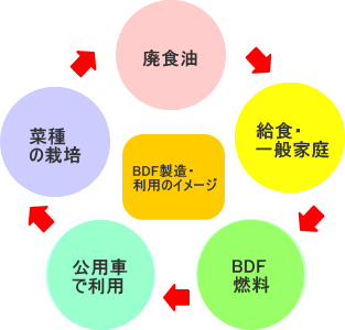 バイオ燃料の製造・利用の図