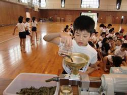 茶色の菜の花の種を金色の漏斗に入れる子供の写真