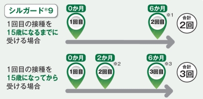 HPV接種スケジュール