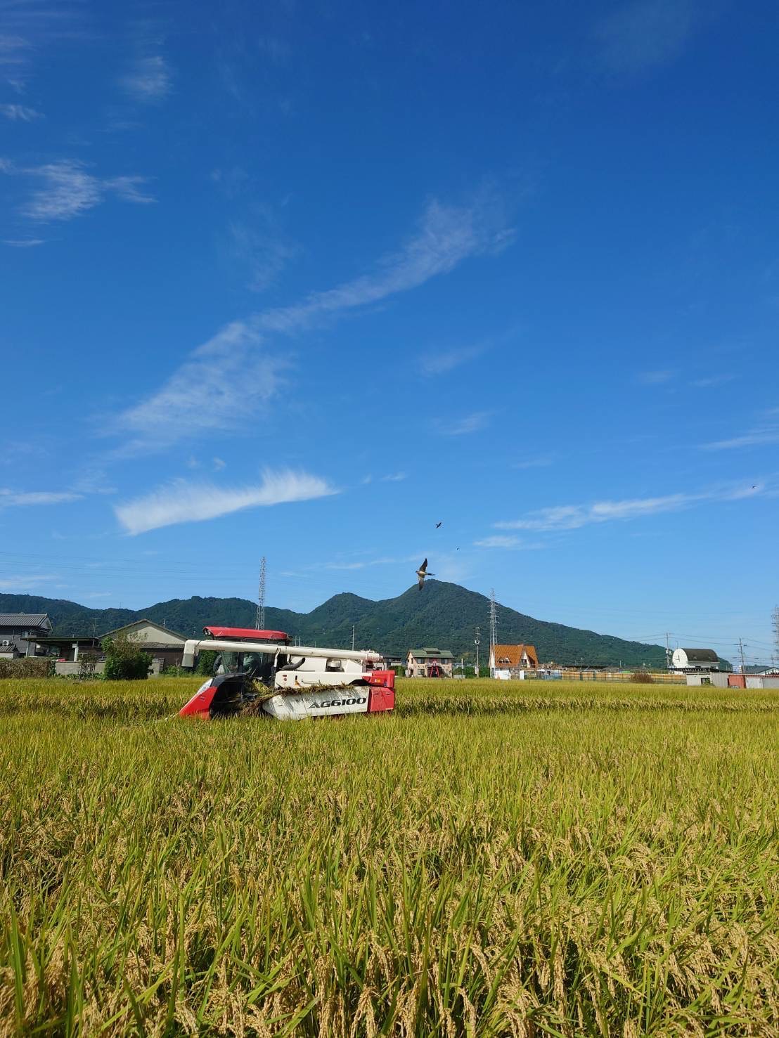 二上山と鳥が見える農作業風景