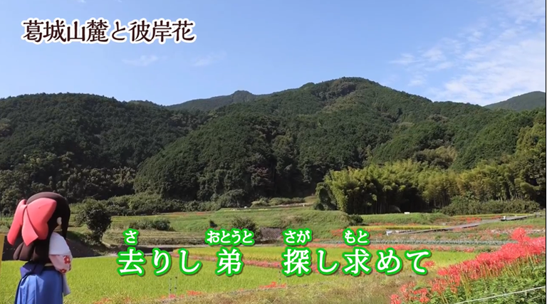 「去りし弟探し求めて」の歌詞と共に映る、彼岸花の咲く田園から遠く葛城山麓を眺める蓮花ちゃんのカット