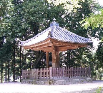 木々の中にたたずむ傘堂の全景の写真