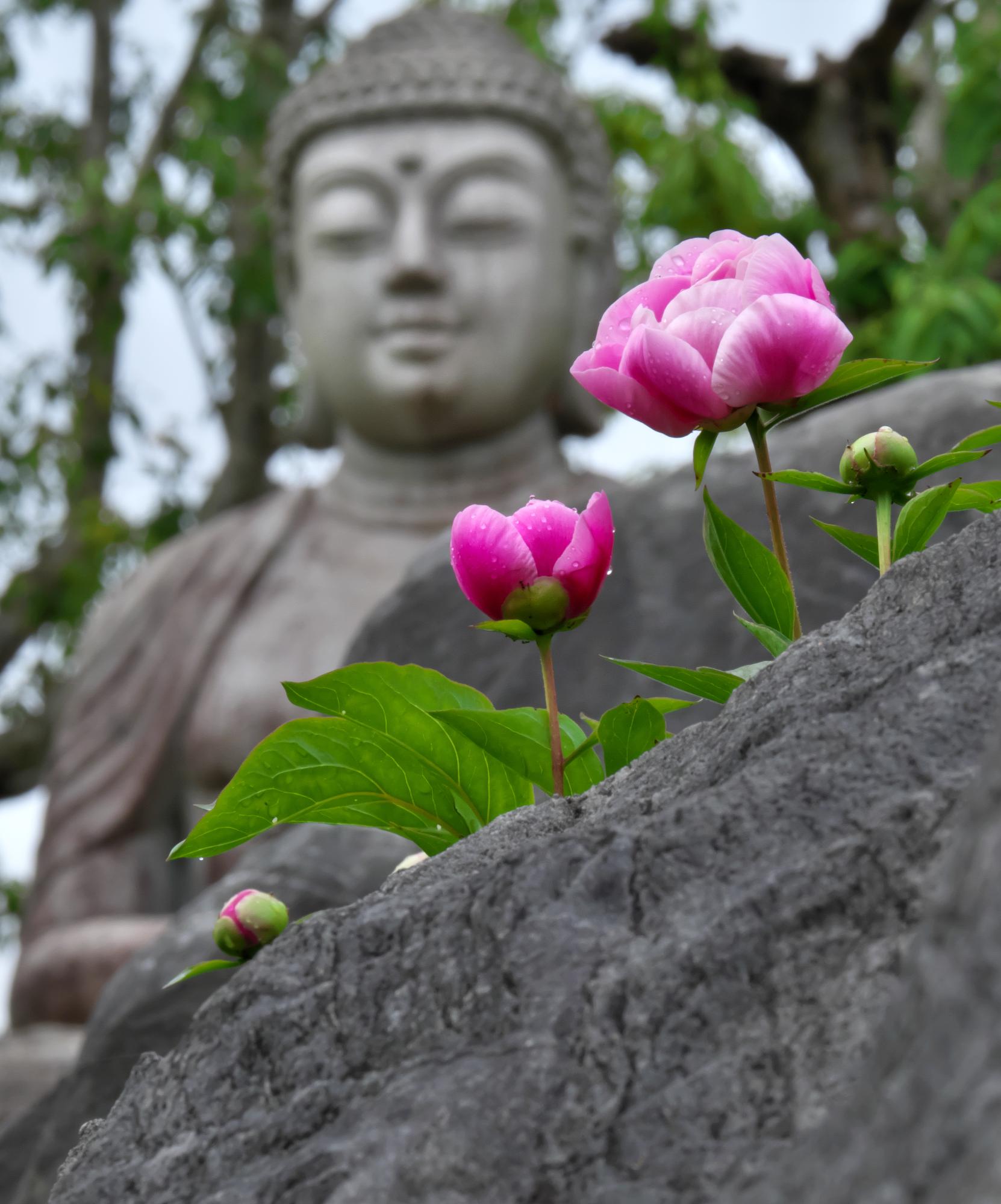優秀賞「微笑み」