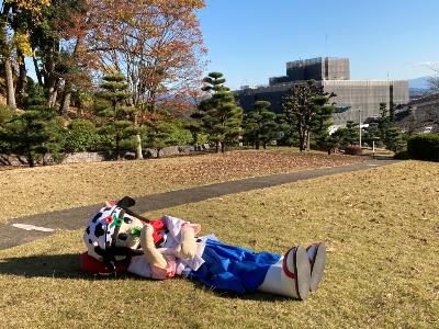 牛さんスタイル蓮花ちゃん5