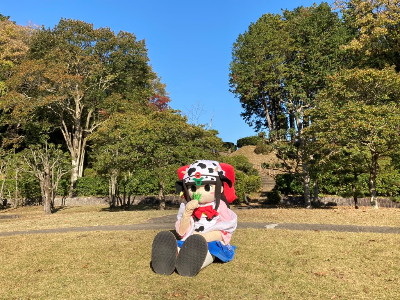 牛さんスタイル蓮花ちゃん6