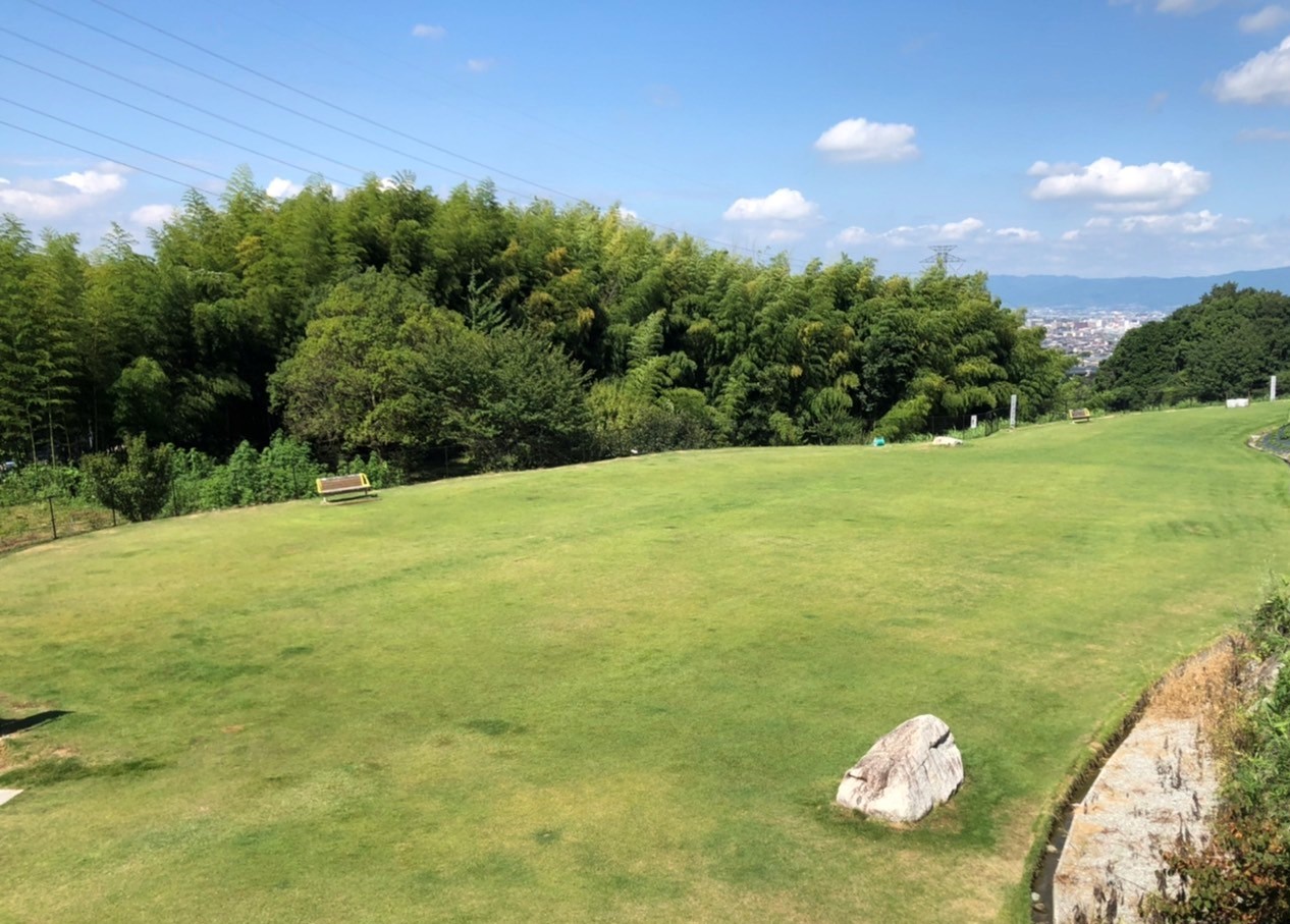 芝生広場(大)