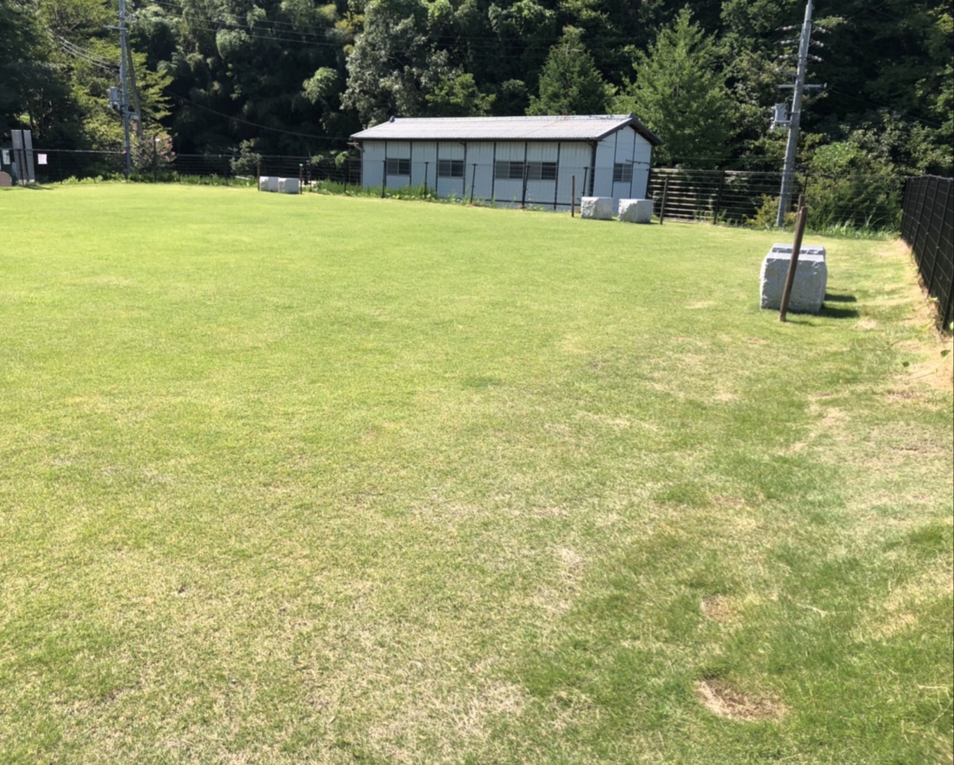 芝生広場(小)