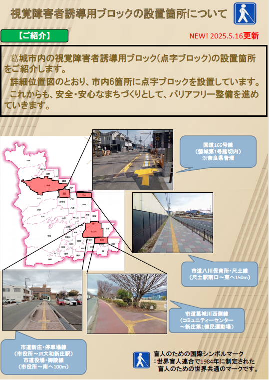 概要版