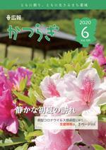 広報かつらぎ6月号の表紙