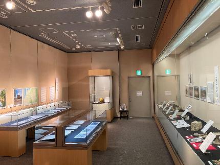 令和4年度春季企画展の展示風景