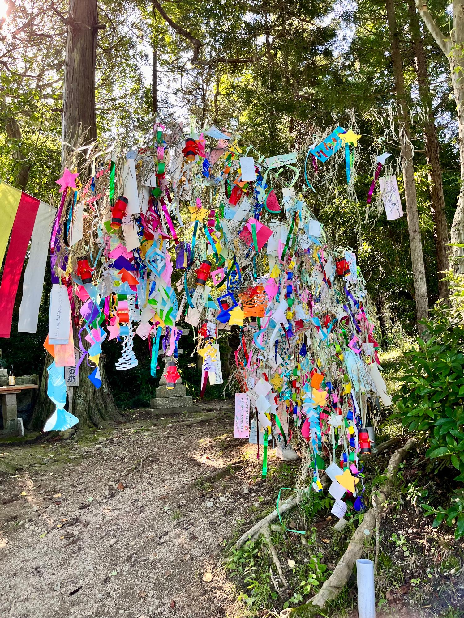 tanabata0604