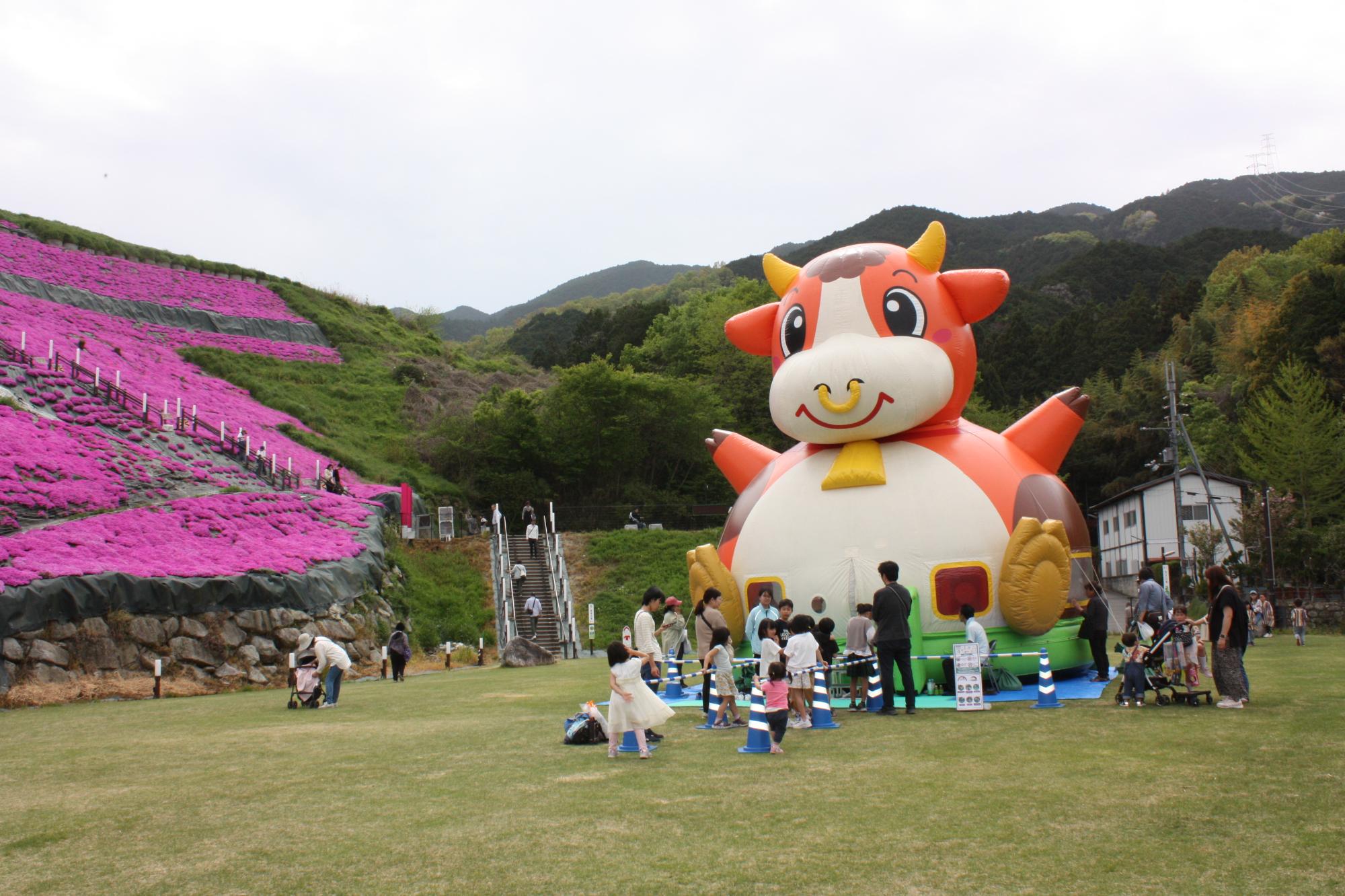 芝桜まつりのふわふわ遊具