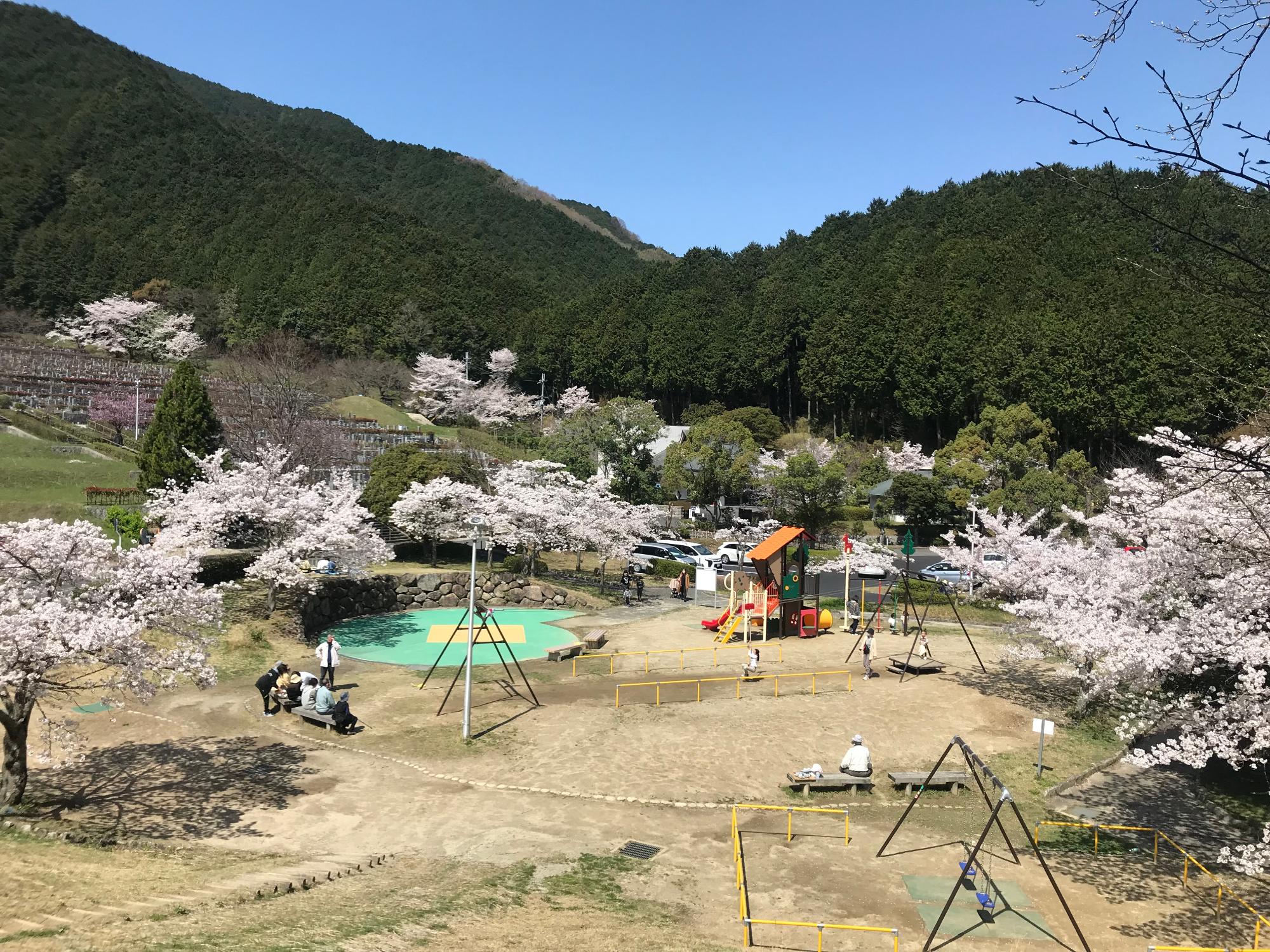 桜の季節に