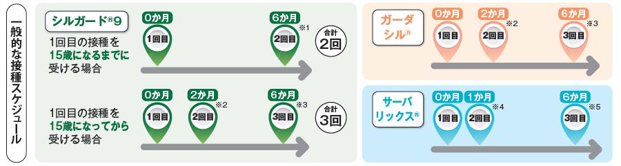 一般的な接種スケジュール