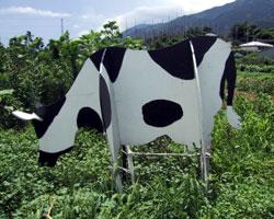 緑の草の中に立っている、ベニヤ板で作られた乳牛の看板の写真