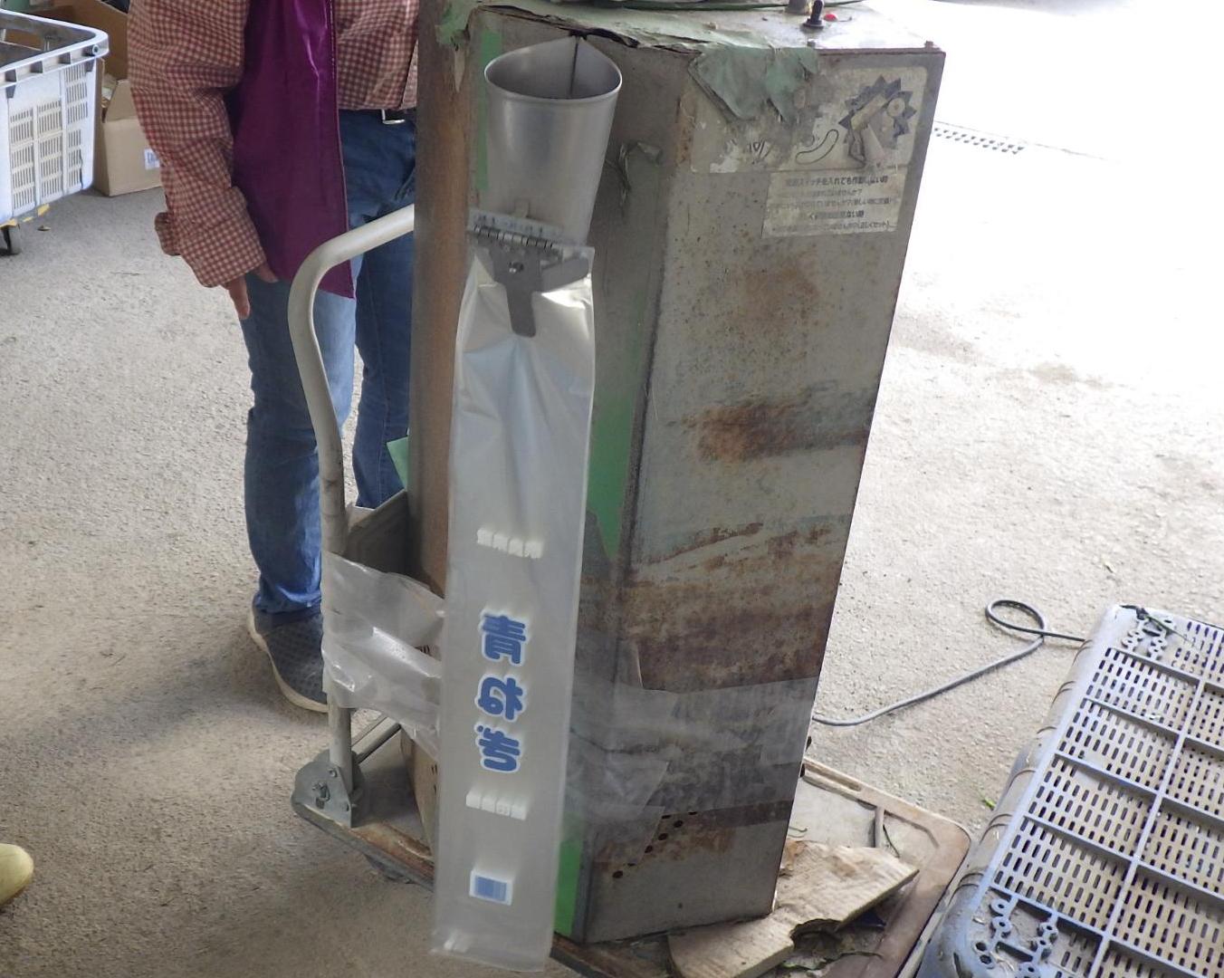 ネギを袋詰めする機会