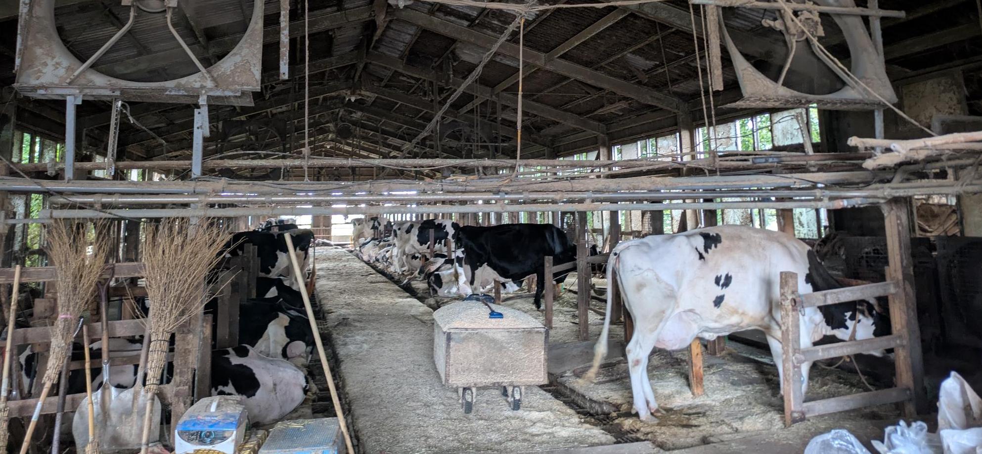 パイプラインミルカー