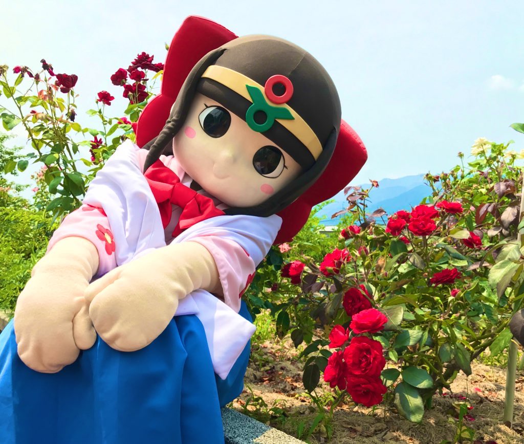 蓮花ちゃんお誕生日企画