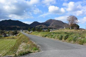 遠方に山々を望む葛城市當麻の田園風景の写真