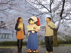 「ドキッ！とLIVE」の撮影風景の写真。満開になった屋敷山公園の桜の下で蓮花ちゃんも交えて番組進行している様子がうかがえる。