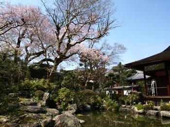 當麻寺中之坊の香藕園の写真。写真右側に中之坊書院が確認できる