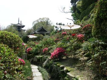 當麻寺護念院の庭園の写真。庭園の奥に三重塔が確認できる