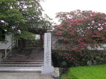 境内の東側より撮影された、石光寺の山門の写真