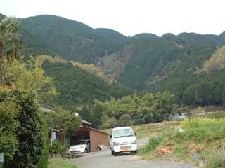 緑に覆われた薬師山を裾野から望む写真