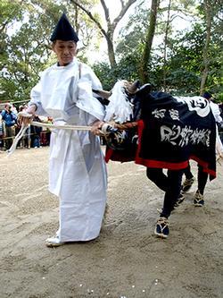 牛の仮面を付けた人が烏帽子と白装束の人に曳かれている様子の写真