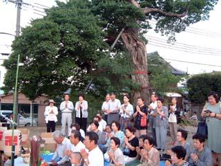 祠の前で心経を斉唱している人たちの後ろにそびえたつ境内の老ムクの木の写真
