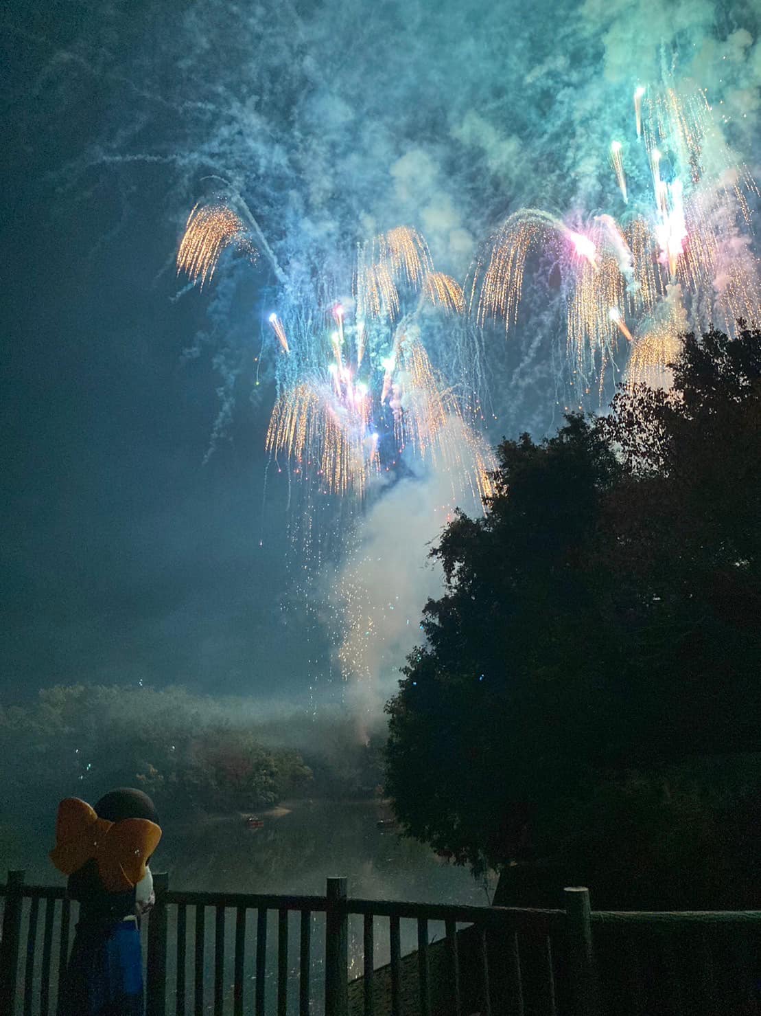 かつらぎ花火大会の様子2