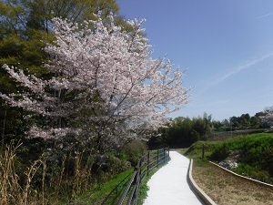 竹内遊歩道