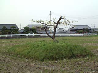 紀真済の墓があるとされている田中の塚の写真