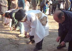 境内の中にある田を模した場所で松葉を苗に見立てて田植えの神事を行う神主と参拝者たちの写真