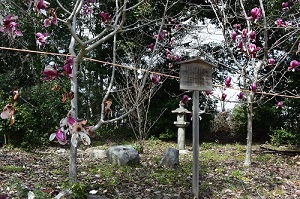 長尾神社境内