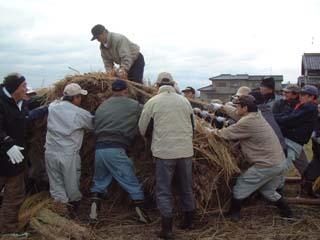 何人もの男性がスノコ状の竹杭を巻いていく作業の写真