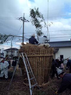 2人の男性が、立てたトンドの上に脚立を使って登り、トンドの上部に竹を刺している作業の写真