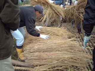 スノコ状の竹杭の上に藁を均等に並べていく作業の写真
