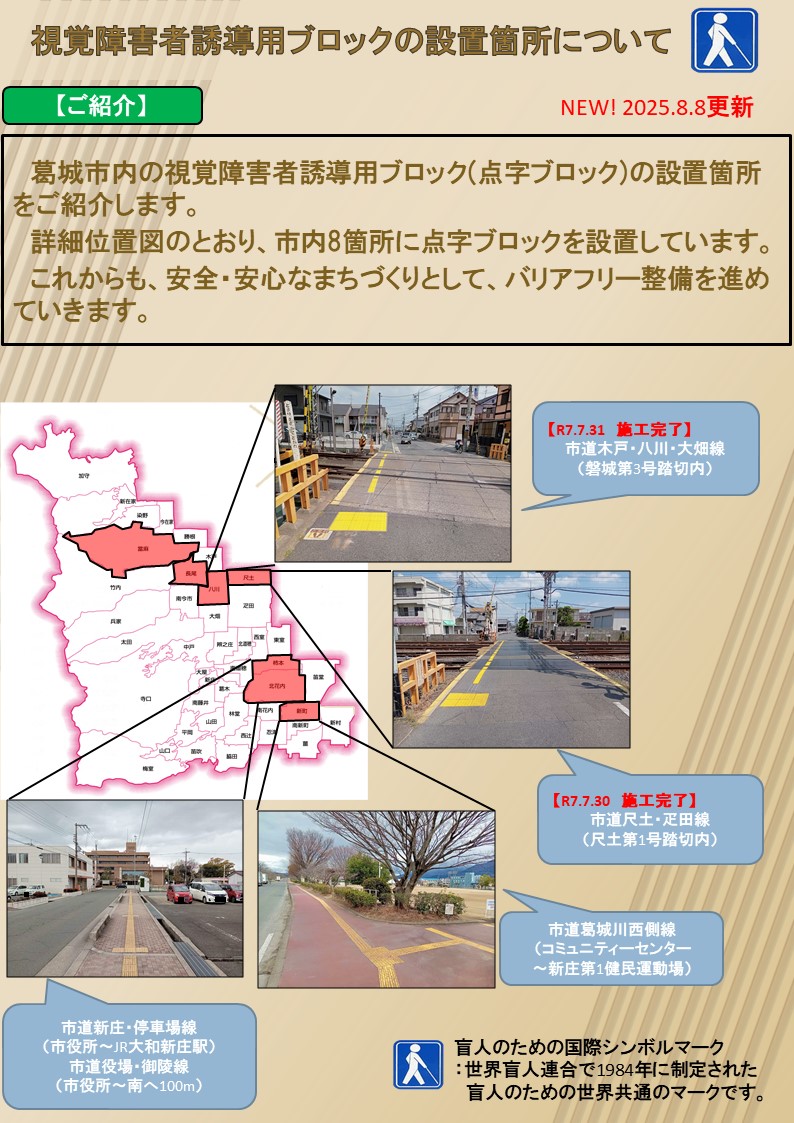 概要版