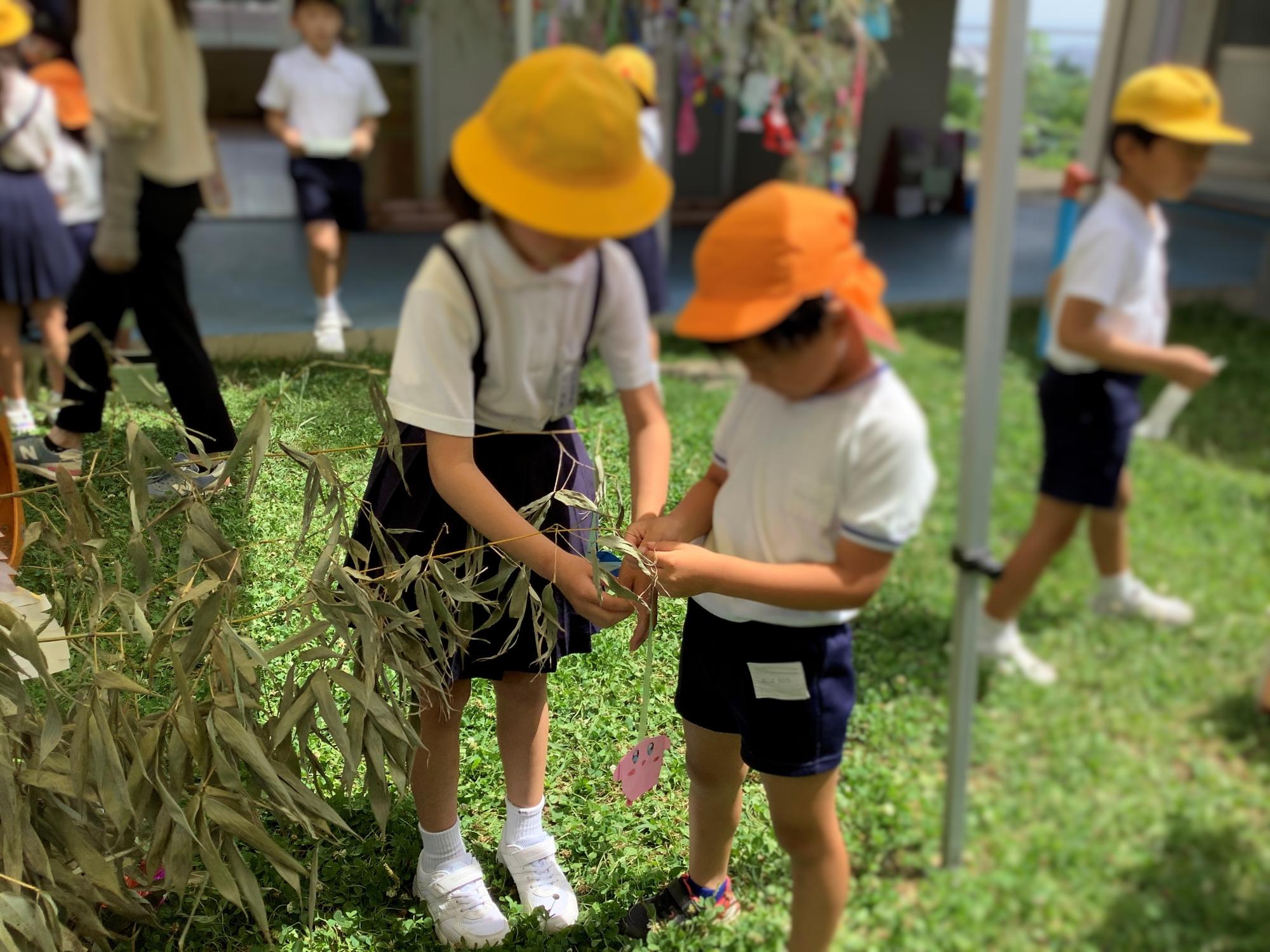 幼少接続