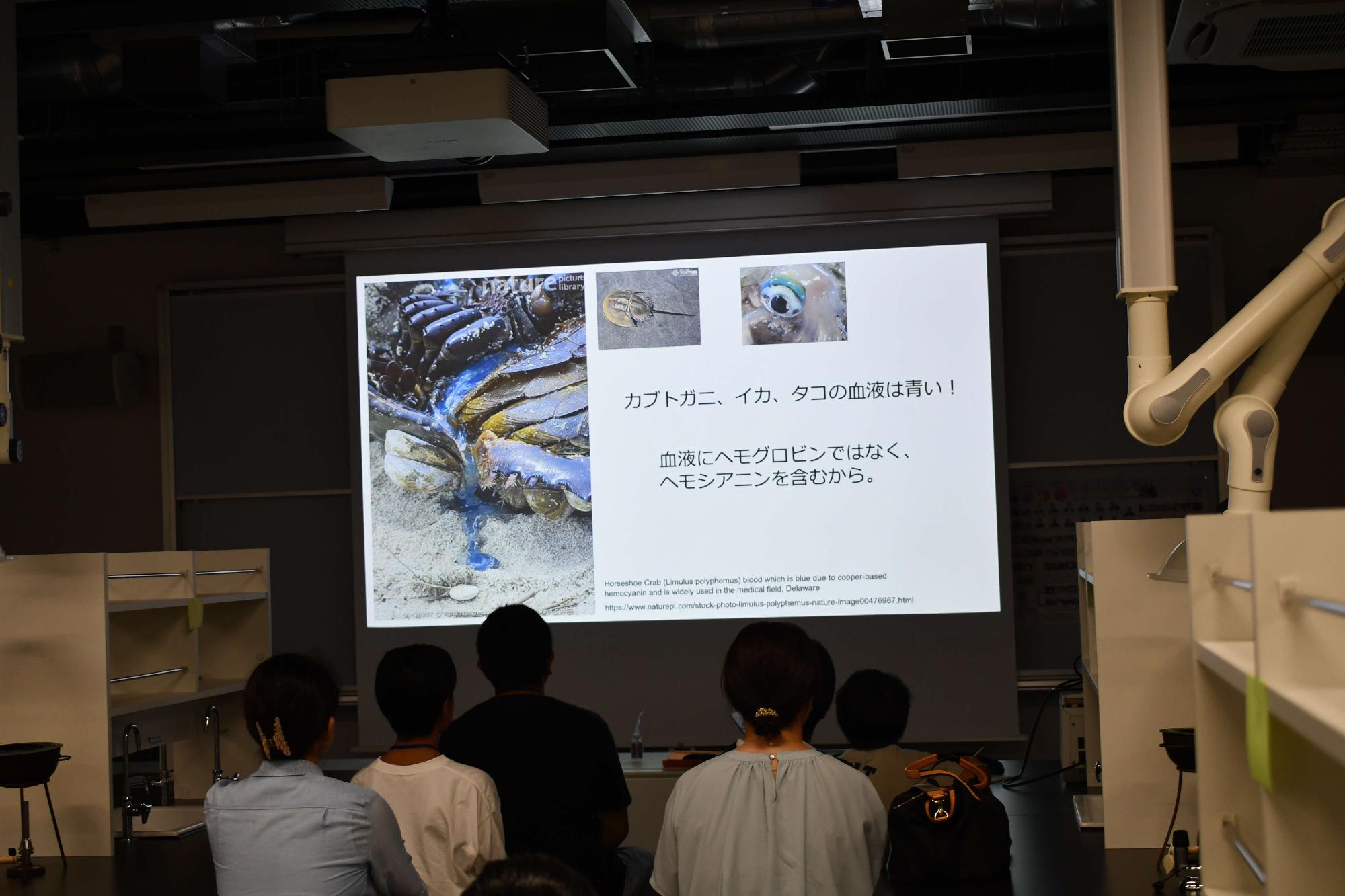 実験室での講義の様子