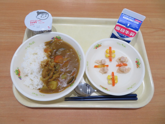 ごはん、牛乳、栄養満点！酒かすカレー、軍配うちわサラダ、ヨーグルト