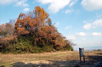 青空を背景にして紅葉した木々が生い茂る二塚古墳の写真