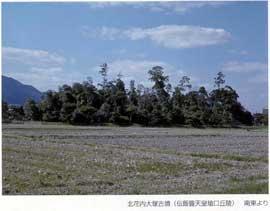 青空の下、田園地帯に広がる林に囲まれた北花内大塚古墳の写真
