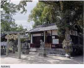 緑溢れる木々の下にたたずむ、小さな鳥居と2体の狛犬と大きなご神木がある角刺神社の写真