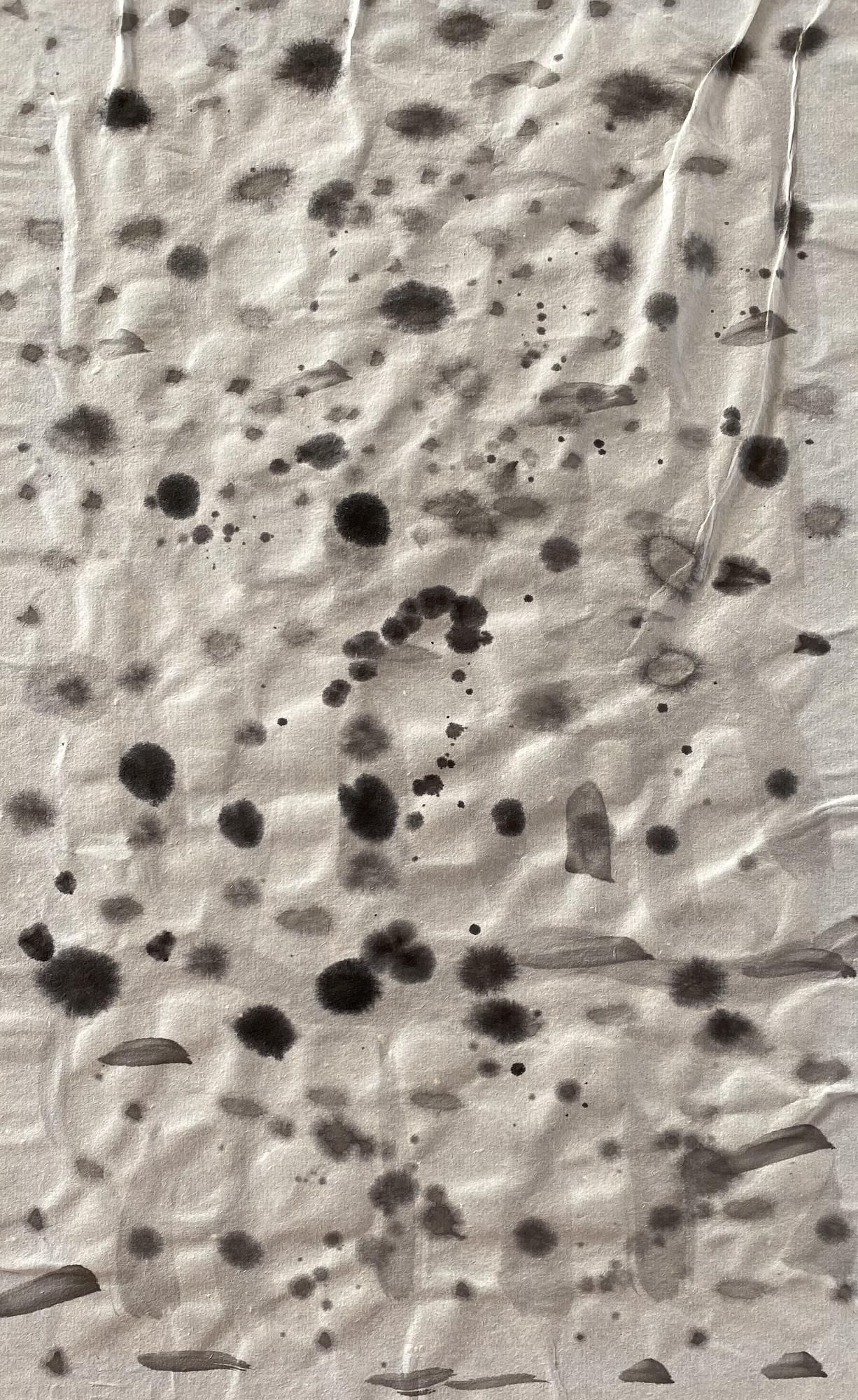 sumi4