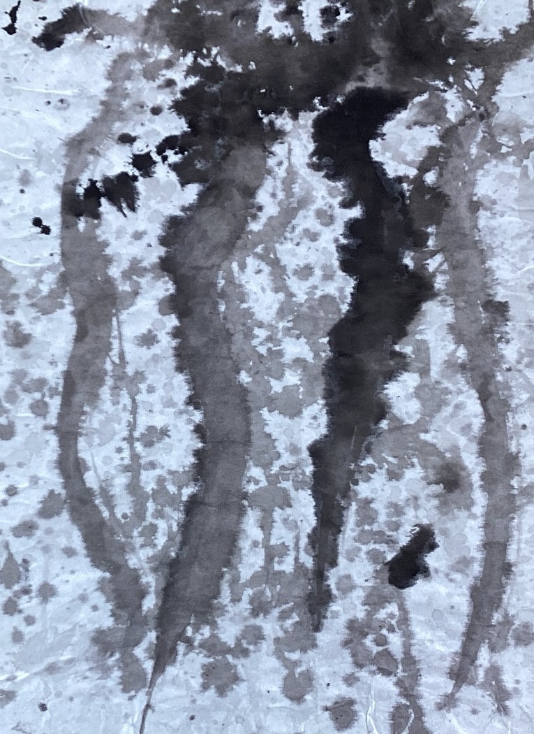 ｓ１