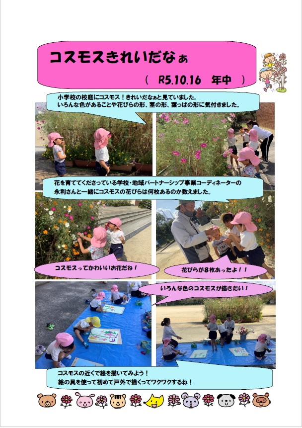 コスモスってきれい
