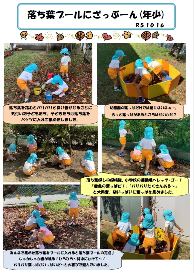 落ち葉プール